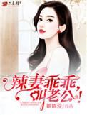 辣妻追夫全本阅读