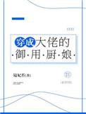 穿成大佬的御用宝器txt