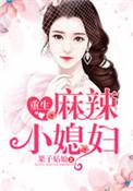 重生麻辣小媳妇陆云歌
