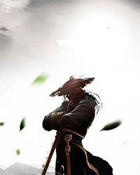 blacksouls2黑的气息