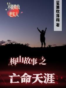 亡命天涯讲的什么故事