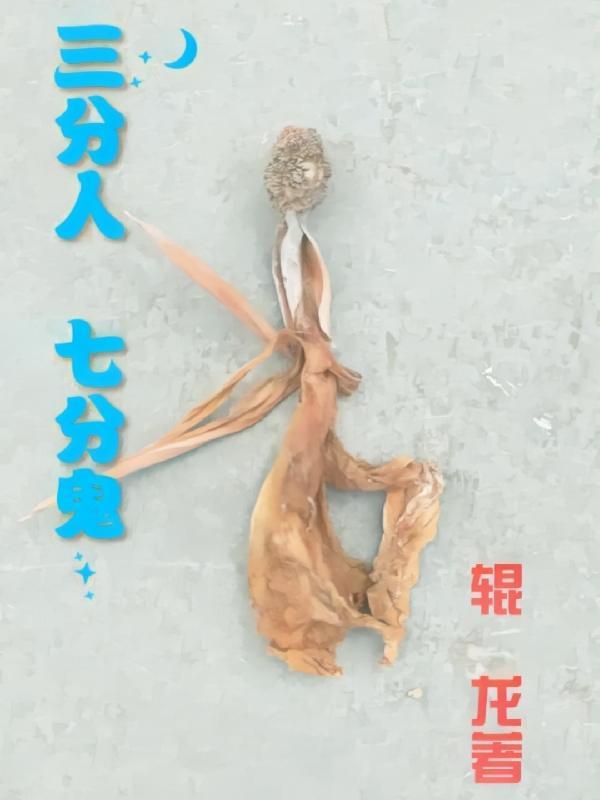 三分人七分鬼打一准确生肖