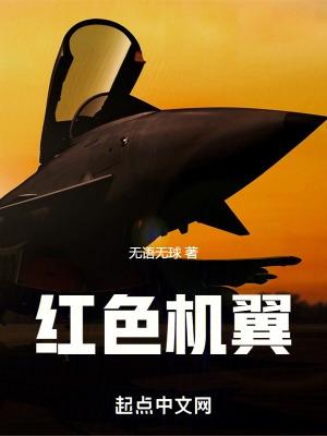 红色机尾中的飞机