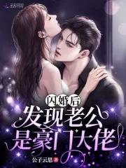 闪婚老公居然是总裁