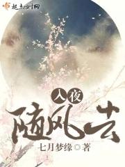 随风潜入夜后面是