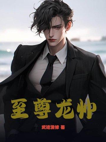至尊龙帅金浩沈婉莹免费阅读