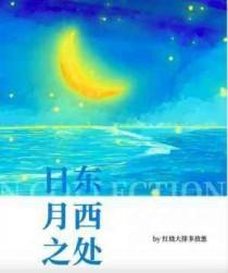日东月西猜生肖