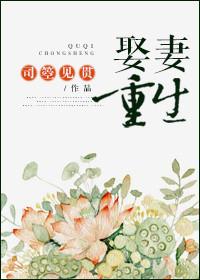 娶妻重生作者司箜见贯